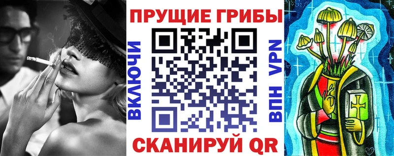 купить наркотики сайты ссылка на мегу зеркало Псилоцибиновые грибы MAGIC MUSHROOMS Павловский Посад